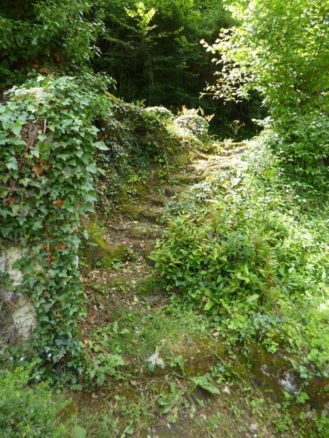 Le Moulin De Cors Bed & Breakfast Oulches Exterior foto